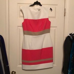 Beautiful summer lined